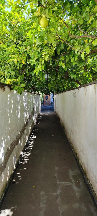 Casa Teresinella Garden Apartment Torre Annunziata Luaran gambar